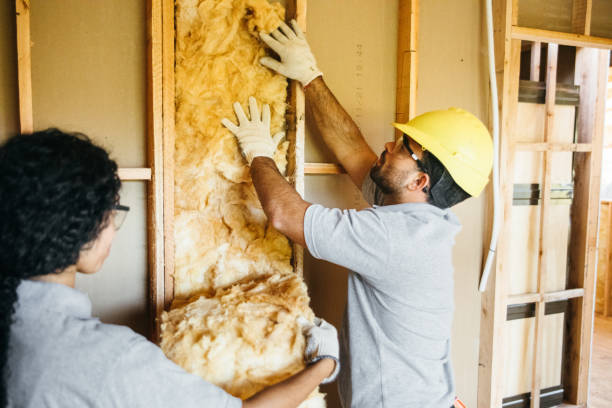 Best Blown-In Insulation  in Waikele, HI